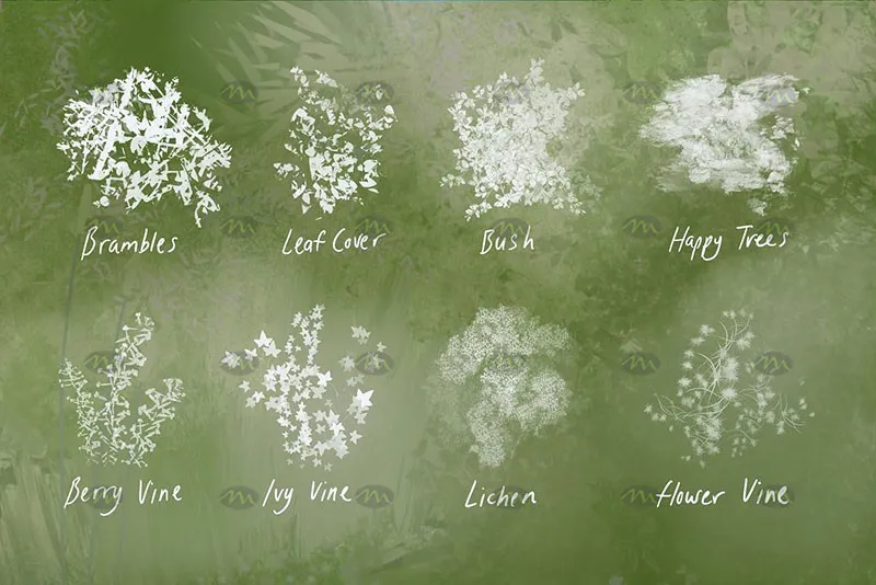 38个植物树叶｜Procreate笔刷详情图 10