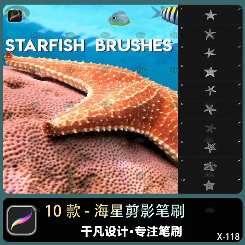 10个海星剪影｜Procreate笔刷
