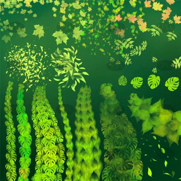 75套植物叶子手绘卡通绘本｜Procreate笔刷详情图 8